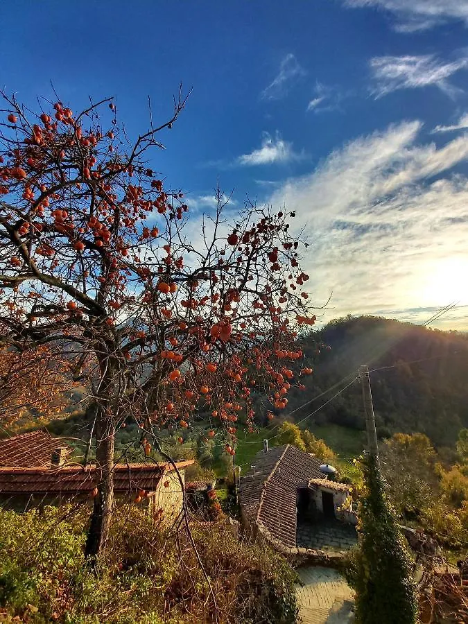 Il Convento Di Casola 0*, Casola in Lunigiana Italië